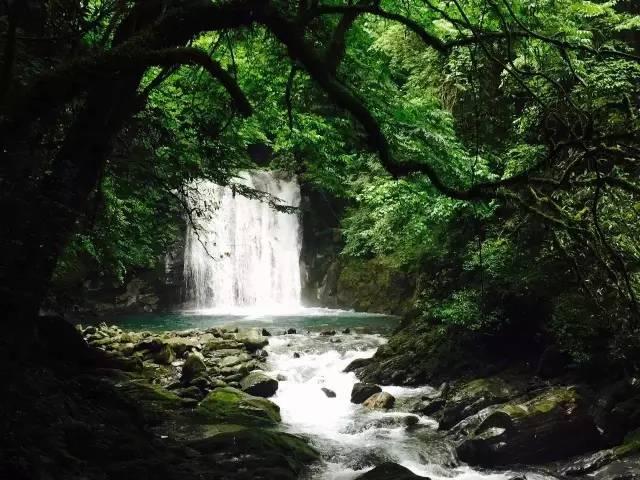 迷失在荒野